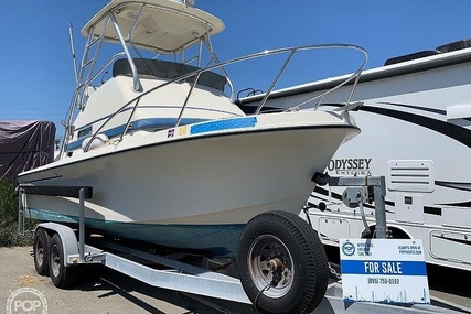 Skipjack Boats 24 Flybridge Sportsfisher