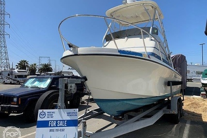 Skipjack Boats 24 Flybridge Sportsfisher