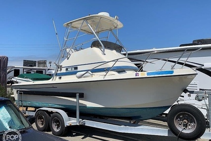 Skipjack Boats 24 Flybridge Sportsfisher