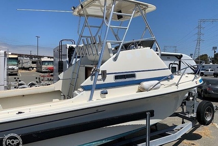 Skipjack Boats 24 Flybridge Sportsfisher