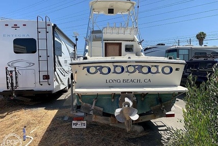 Skipjack Boats 24 Flybridge Sportsfisher