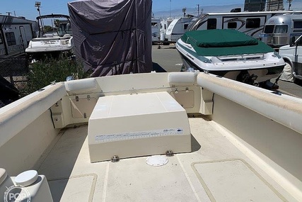 Skipjack Boats 24 Flybridge Sportsfisher