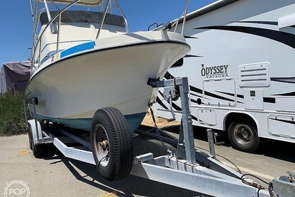 Skipjack Boats 24 Flybridge Sportsfisher