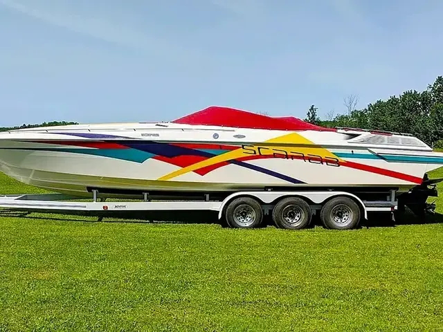 Scarab 31