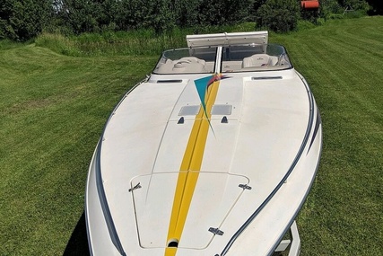 Scarab 31