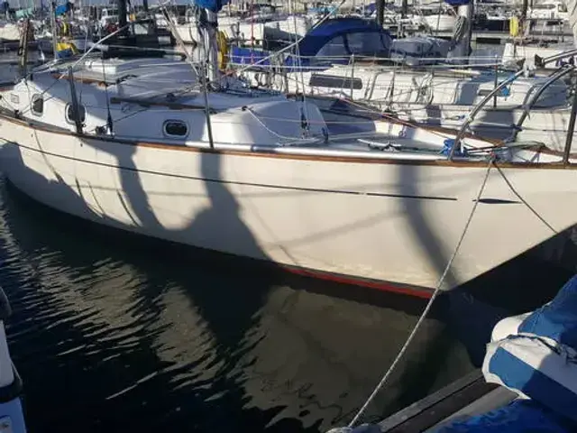 Fiberman Shipman 28