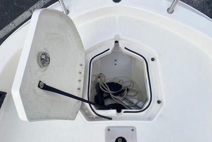 Bayliner Element f21