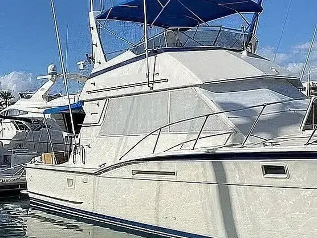 Hatteras 46