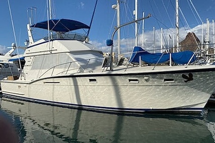 Hatteras 46