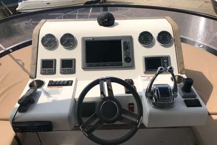 Sealine F46