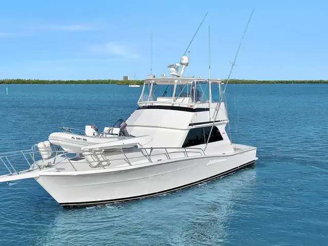 Viking 43 Convertible