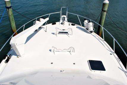 Viking 43 Convertible