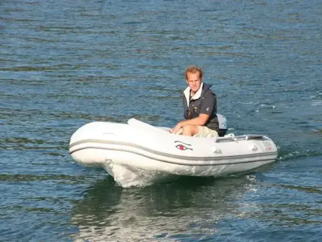 Ribeye NEW Tender TL310 - Boat Only