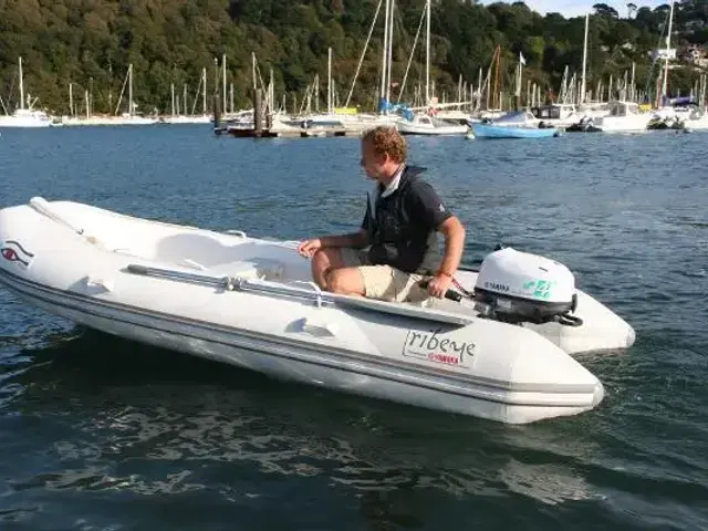 Ribeye NEW Tender TL310 - Boat Only