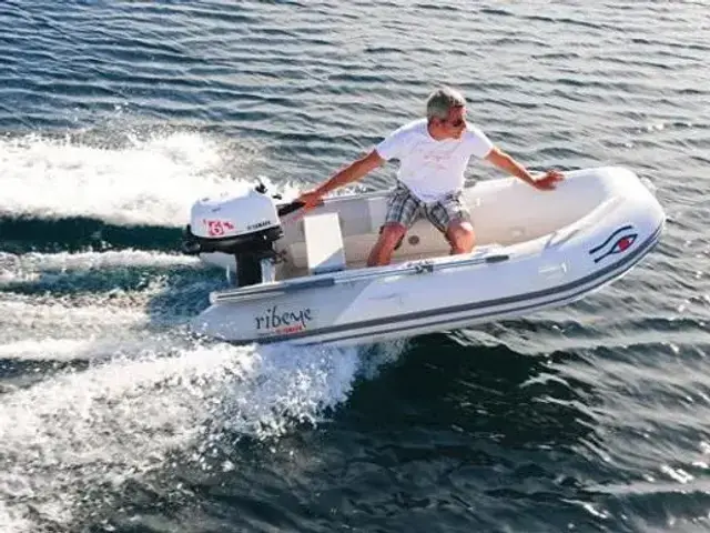 Ribeye NEW Tender TL280 Rib - Boat Only