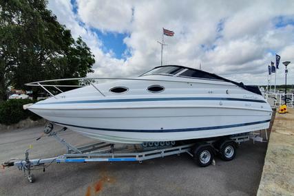 Chris Craft 248 Express