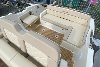 Quicksilver ACTIV 875 SUNDECK