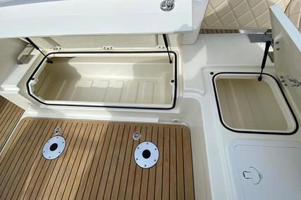 Quicksilver ACTIV 875 SUNDECK