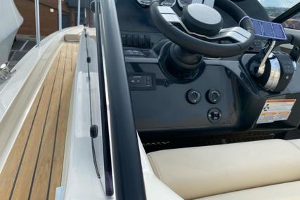 Quicksilver ACTIV 875 SUNDECK