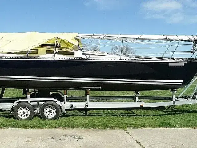 Hobie Cat H33M