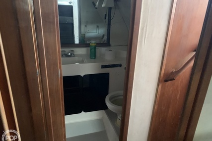 Bayliner 4588 Pilothouse MY