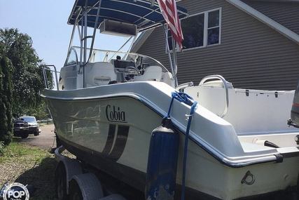 Cobia 260WA