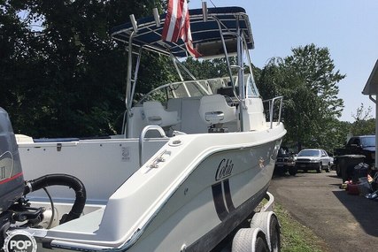 Cobia 260WA