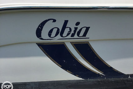 Cobia 260WA