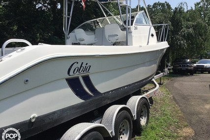 Cobia 260WA