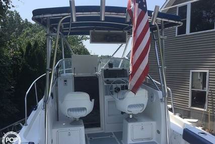 Cobia 260WA