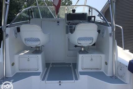 Cobia 260WA