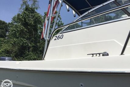 Cobia 260WA