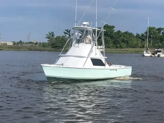 Bertram 31 Flybridge Cruiser