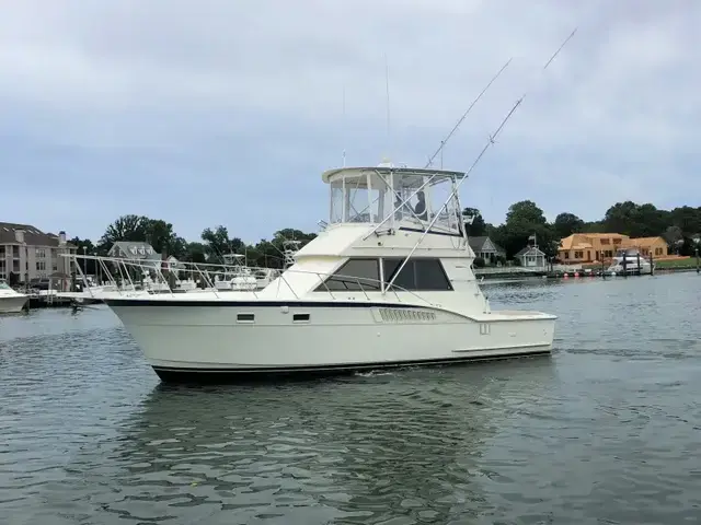 Hatteras 37 Convertible