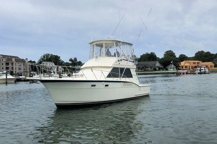 Hatteras 37 Convertible