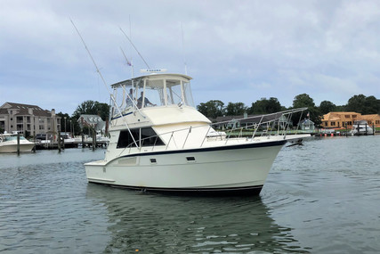 Hatteras 37 Convertible