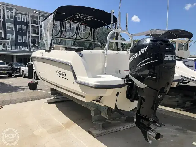 Boston Whaler 230 Vantage