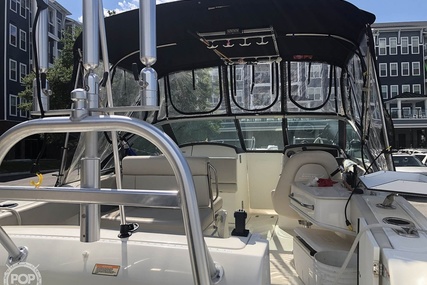 Boston Whaler 230 Vantage