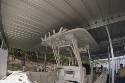 Robalo R272