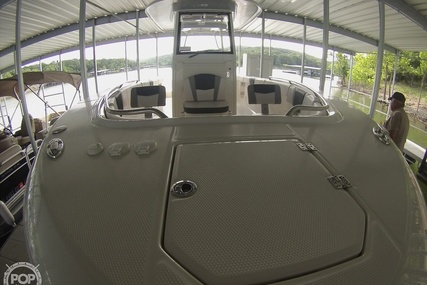 Robalo R272