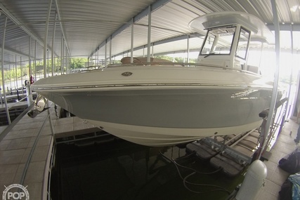 Robalo R272