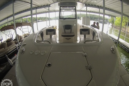 Robalo R272