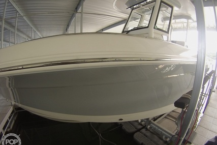 Robalo R272