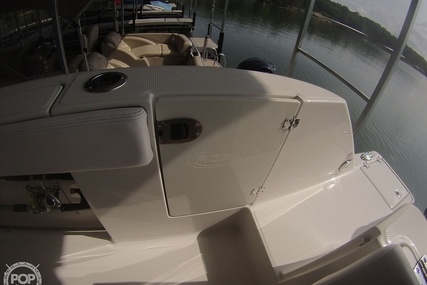 Robalo R272