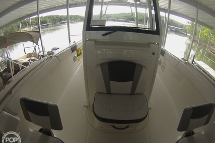 Robalo R272