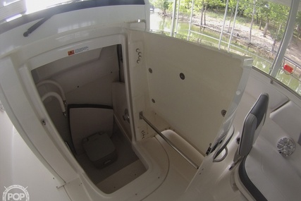 Robalo R272