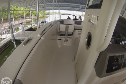 Robalo R272