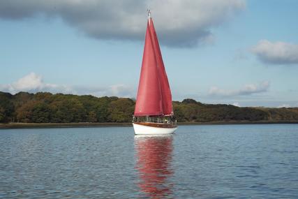 Custom Built Lone Gull II