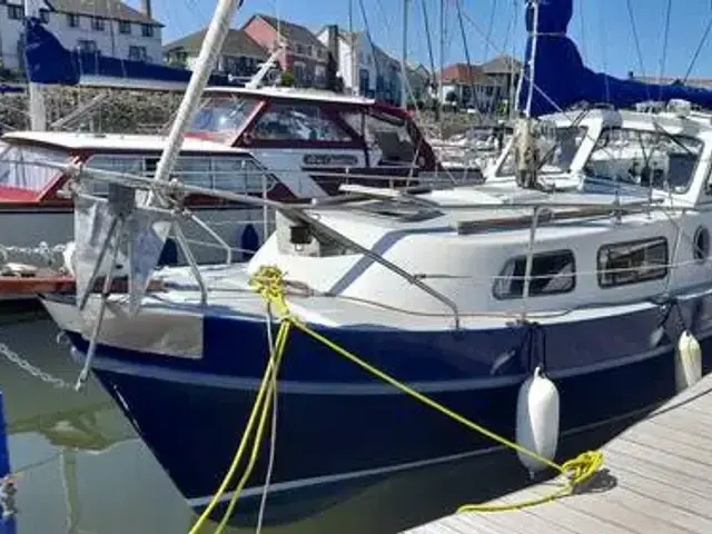 FINN Sailor 29