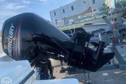 Bayliner Element F18 Center Console